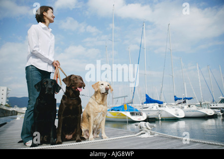 Junge Frau und Labrador Retriever Stockfoto