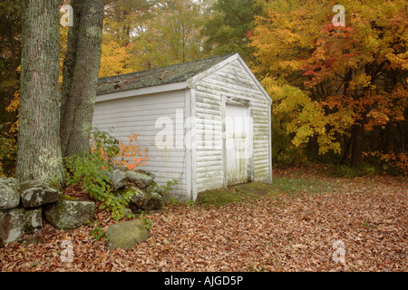 Einen kleinen Schuppen umgeben von Ahornbäume im Herbst im malerischen New Hampshire USA gehörende auf Neu-England Stockfoto