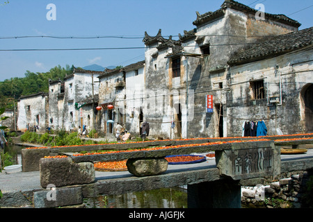 Chili Trocknen auf eine steinerne Brücke Likeng Wuyuan County China Stockfoto