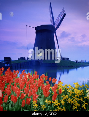 NL - NORDHOLLAND: Windmühle am Schermerhorn Stockfoto