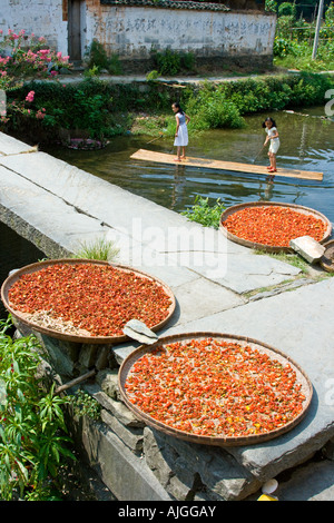 Chili Trocknen auf eine steinerne Brücke Mädchen spielen auf Bambus Raft Likeng Wuyuan County China Stockfoto