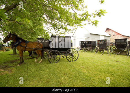 Amische Buggys geparkt auf einem Bauernhof in der Nähe von Arthur Illinois Stockfoto