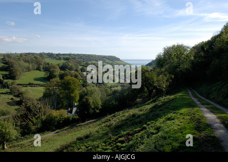 Blick auf ein Tal Branscombe Dorf in Richtung Küste im Herbst Devon Stockfoto