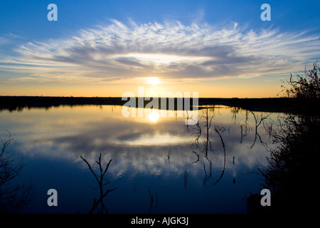 Die Sonne versinkt in einer prächtigen Formation über der Mopani Verdammung, Krüger Nationalpark, Südafrika Stockfoto