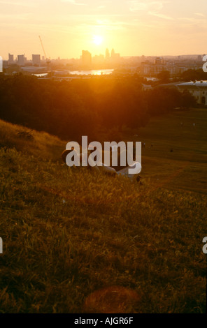 Ein paar entspannen auf dem Rasen, während sie den Sonnenuntergang über London von der Spitze des Observatory Hill, Greenwich Park, England. Stockfoto