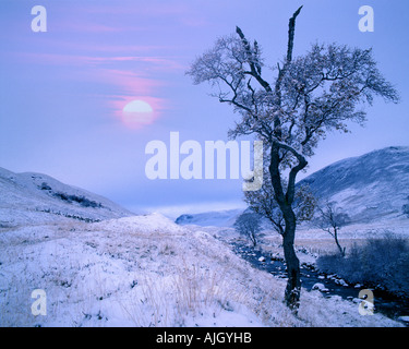 GB - Schottland: Winter in Glen Lochsie in Tayside Stockfoto