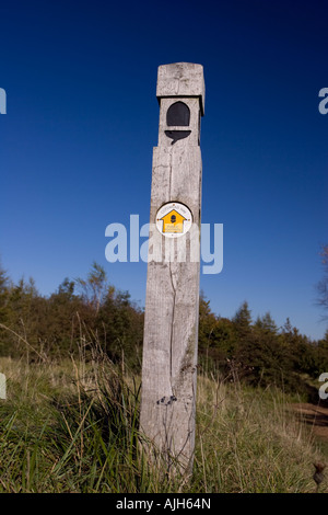 Wegweiser auf Eiche Post öffentlichen Fußweg Cotswold Weg Leckhampton Hill Cotswolds UK unterzeichnet Stockfoto