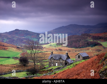 Isolierte Gehöft im Oberland am Ty'n-Llidiart, Nr Llynnau Cregennan, Snowdonia-Nationalpark, Gwynedd, Wales Stockfoto