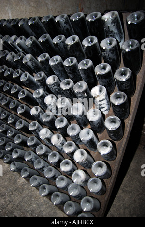 Champagner-Keller, Domaine Pommery Monopole, Reims, Marne, Champagne-Ardenne, Frankreich Stockfoto