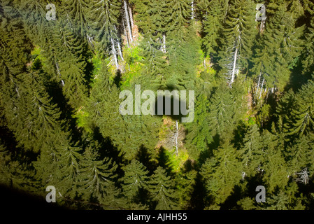 Der Schatten des Avoriaz-Seilbahn auf den alpinen Wald unten in der Region Haute Savoie Frankreich Stockfoto