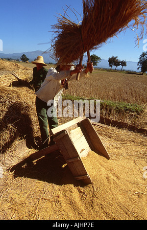 In der Nähe von Kengtung Menschen arbeiten auf dem Gebiet Stockfoto