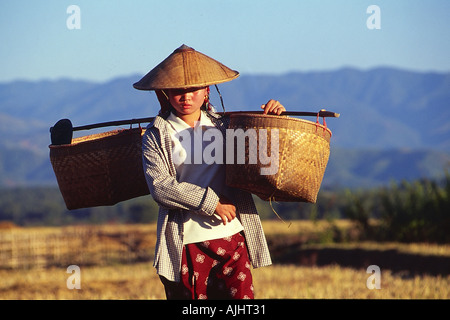 In der Nähe von Kengtung Frau arbeitet im Bereich Stockfoto