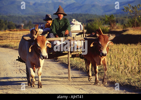 In der Nähe von Kengtung Menschen arbeiten auf dem Gebiet Stockfoto