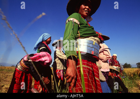 In der Nähe von Kengtung ethnische Leute der Palaung im Bereich Stockfoto