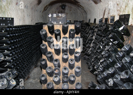 Champagner-Keller, Domaine Pommery Monopole, Reims, Marne, Champagne-Ardenne, Frankreich Stockfoto