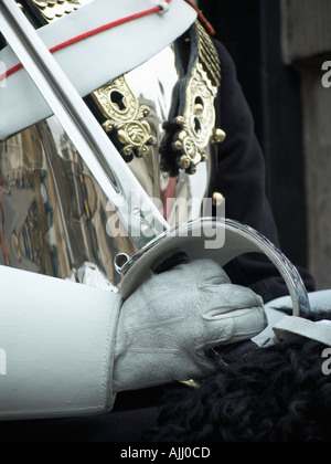 Detail der behandschuhten Hand mit Schwert Horse Guard auf Whitehall London England UK keine Freigabe zur Verfügung Stockfoto