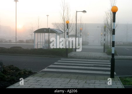 Reihe von Zebrastreifen Dehnung in die Ferne an einem nebeligen Tag auf einem Supermarkt-Parkplatz Stockfoto