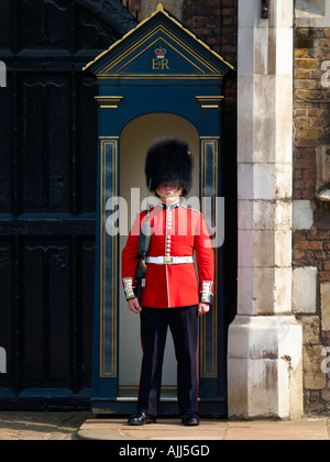 Walisischen Garde, St. James Palace Stockfoto