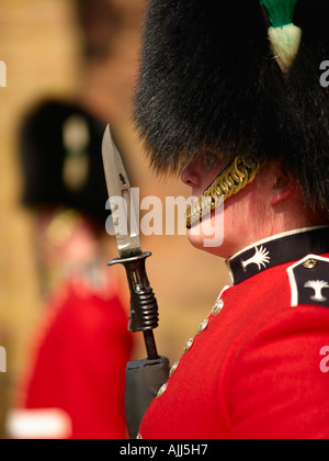 Walisischen Garde, St. James Palace Stockfoto