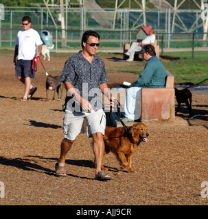 Redondo Beach Walking Park Southern California USA Hundehalter und ihre Hunde trainieren im park Stockfoto