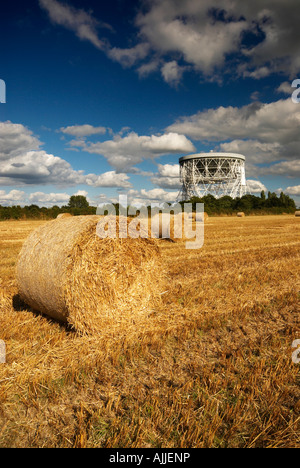 Heuballen im Bereich von Lovell Radioteleskop Jodrell Bank Cheshire UK Stockfoto