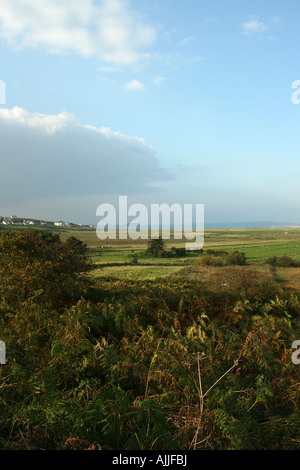 Über die Felder der Insel Doagh vom Rande des Ballyliffen, Donegal, Irland Stockfoto