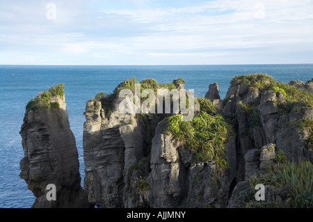 Pancake Rocks Punakaiki Paparoa Nationalpark Westküste Südinsel Neuseeland Stockfoto