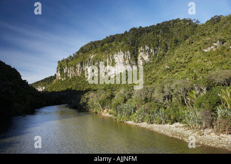 Buschlandschaft und Pororari River Gorge Paparoa Nationalpark Westküste Südinsel Neuseeland Stockfoto