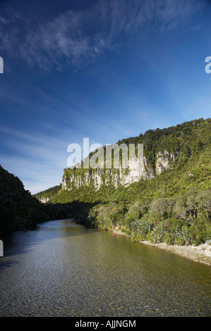 Buschlandschaft und Pororari River Gorge Paparoa Nationalpark Westküste Südinsel Neuseeland Stockfoto