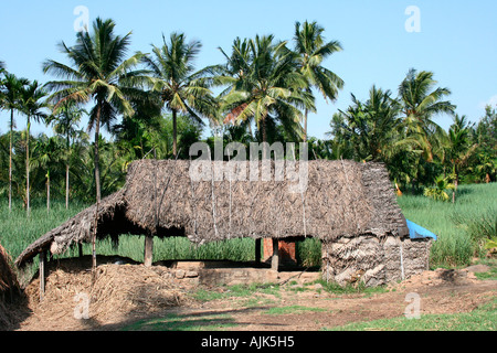 Eine kleine Schutzhütte für die Lagerung von Heu in der Nähe von den grünen Feldern in Marayoor in der Nähe von Munnar, Kerala, Indien Stockfoto