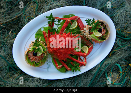 Seespinne Im Restaurant Dalmatinka Auf Insel Ilovik | Große Seespinne im Restaurant Dalmatinka in Ilovik auf Insel Ilovik Stockfoto