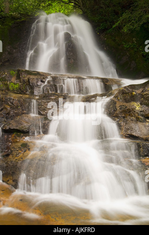 Laurel Creek Falls, Great Smoky Mountains National Park, Tennessee, USA Stockfoto