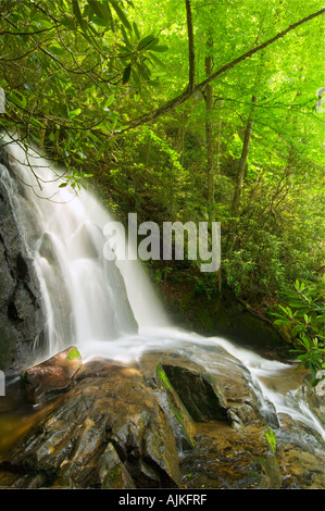 Laurel Creek Falls, Great Smoky Mountains National Park, Tennessee, USA Stockfoto