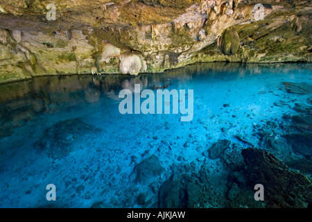 Die Cenote "Zwei Augen" auf der Yucatán-Halbinsel (Mexiko). Cénote Dos Ojos (Quintana Roo, Péninsule du Yucatán, Mexiko). Stockfoto