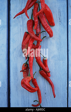 Rote Paprika trocknen Stockfoto