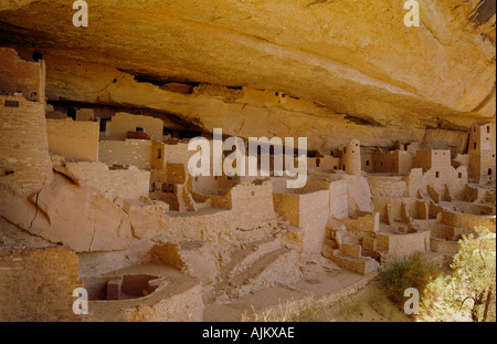 Mesa Verde National Park in Colorado USA Cliff Palace Ruinen zeigen Stockfoto