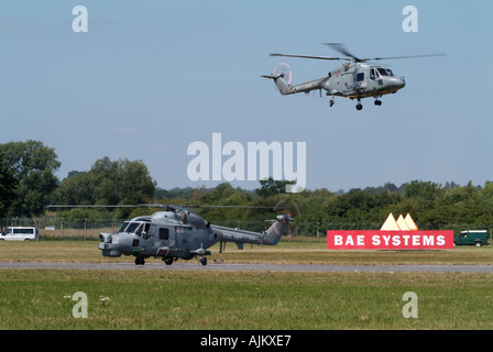 Zwei Westland Lynx Hubschrauber Stockfoto