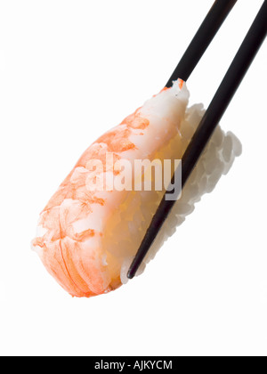 ein Stück Nigiri Sushi mit Garnelen gehalten zwischen Stäbchen isolierten weißen Hintergrund Stockfoto