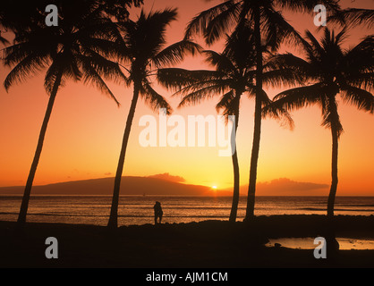 Paar unter Palmen auf Maui bei Sonnenuntergang mit Insel Lanai am Horizont Stockfoto