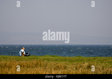 Person mit Hund mit Laptop-Computer im Freien am Meer Ufer Westküste Schottland, Vereinigtes Königreich Stockfoto