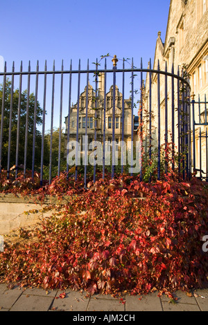 Herbst Farben Oxford rot orange wildem Wein wächst gegen Wand Geländer Stockfoto