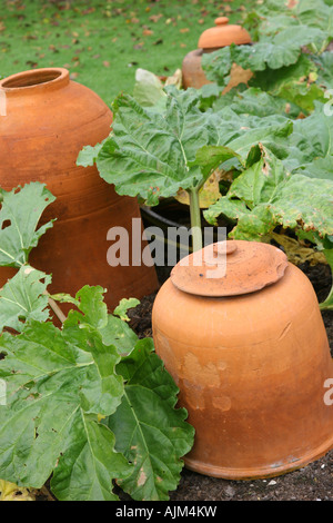 Terrakotta Glocke Cloches auf einem Gemüsebeet Stockfoto