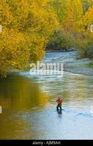 Idaho Boise A Fischer watet in Boise River auf einen bunten Herbst-Abend Stockfoto