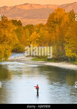 Idaho Boise A Fischer watet in Boise River auf einen bunten Herbst-Abend Stockfoto