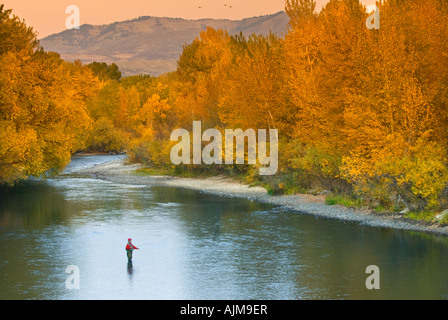 Idaho Boise A Fischer watet in Boise River auf einen bunten Herbst-Abend Stockfoto