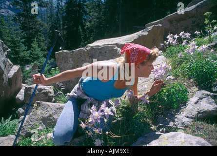 Eine junge Frau stoppt, um eine blaue Akelei Aquilegia Coerulea beim Wandern in Rocky Mtn Nat l Park CO riechen Stockfoto
