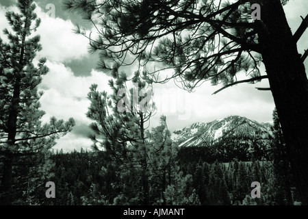 Lake Tahoe Stockfoto