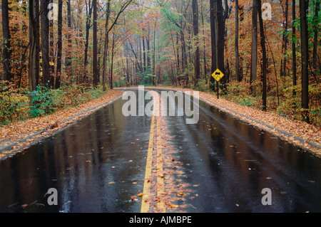 Landstraße nach einem Regen Stockfoto