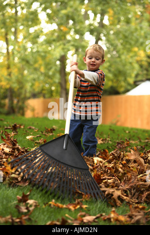 Kleiner Junge Rechen Herbst Blätter Stockfoto