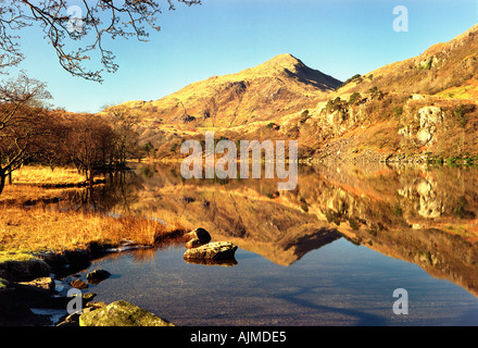 Yr Aran unter blauem Himmel in herbstlichen Farben spiegelt sich in dem klaren Wasser des Llyn Gwynant Snowdonia N Wales Stockfoto